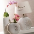  Orchidea